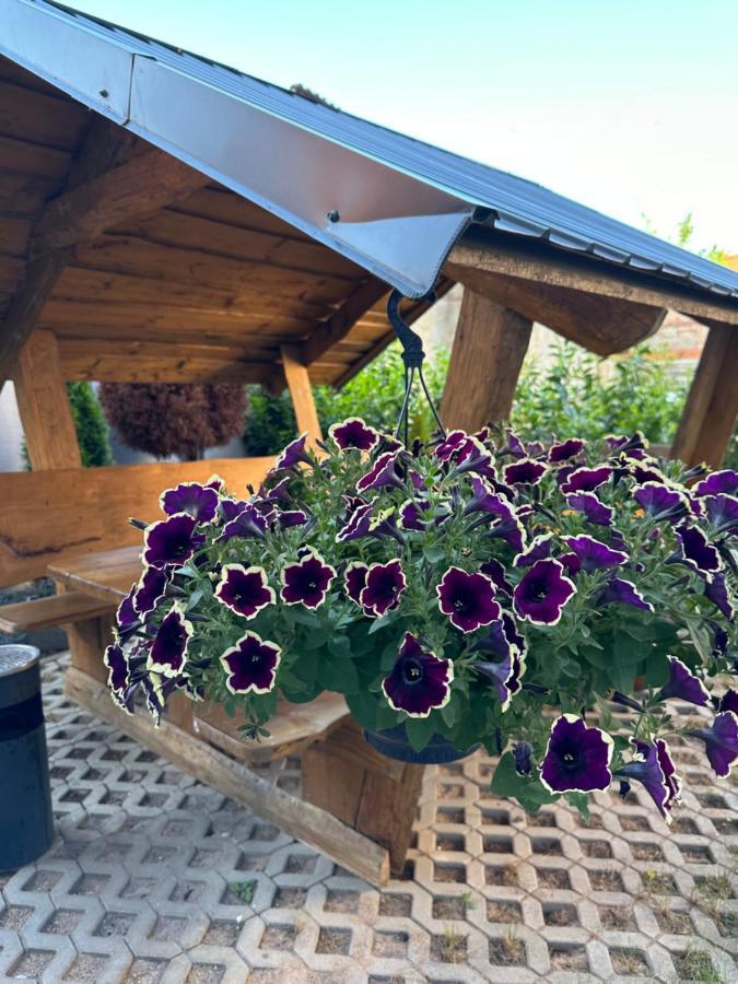 Ferienwohnungen In Erfurt Luaran gambar